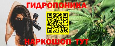 спиды Владимир